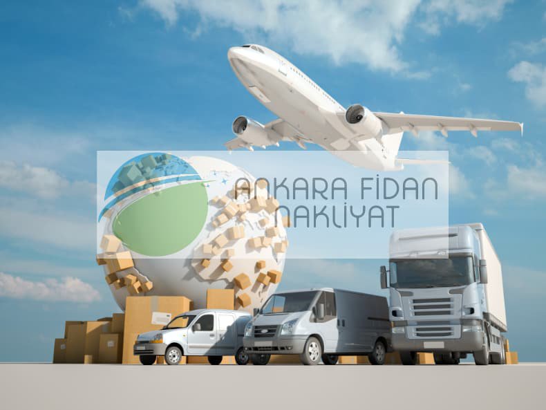 Ankara Fidan Nakliyat Ankara Parsiyel Taşıma HD 720